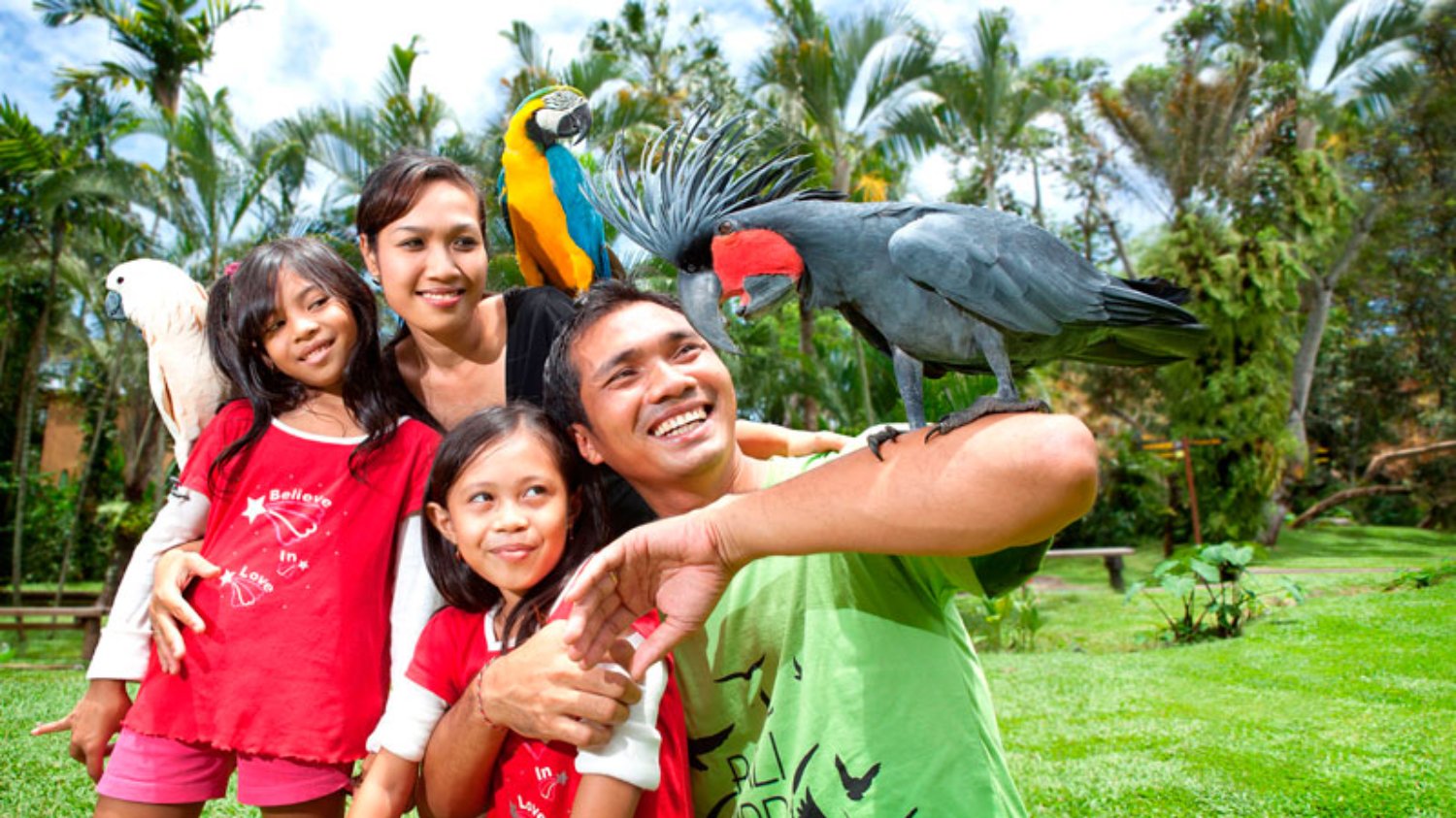 Bali Bird Park
